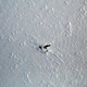 Illustration for article titled An Artificial Landmark in the Arctic